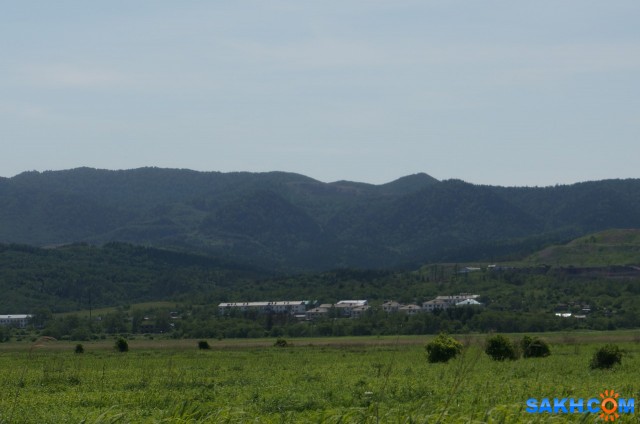 Фото гексорал63