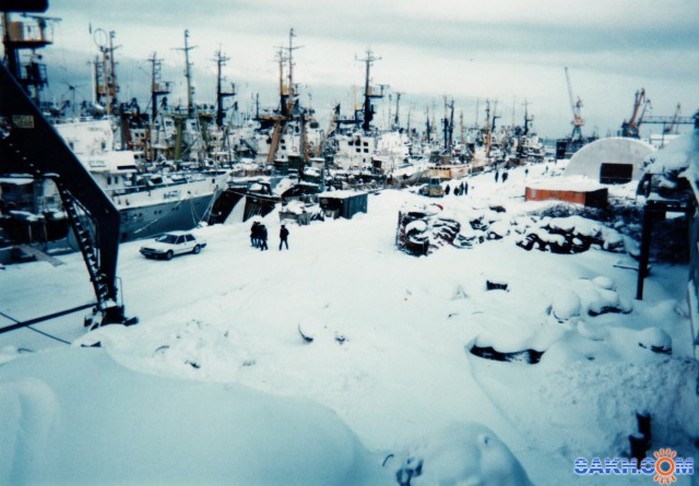 Фото 7388PetVladVik