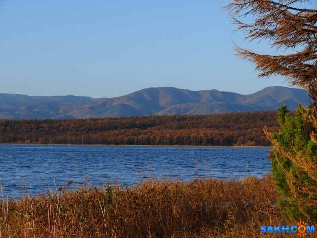 Фото chechenev