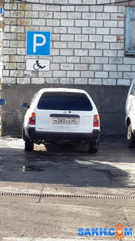 Фото дикаяроза