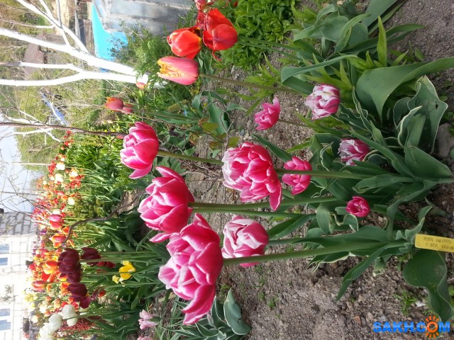 Фото andru79