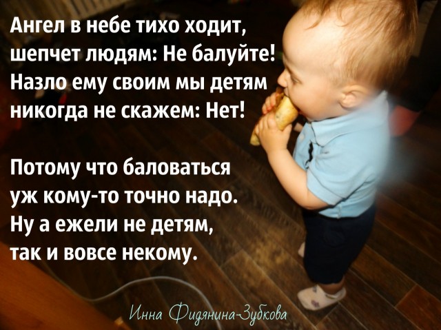 Фото Фидянина-Зубкова