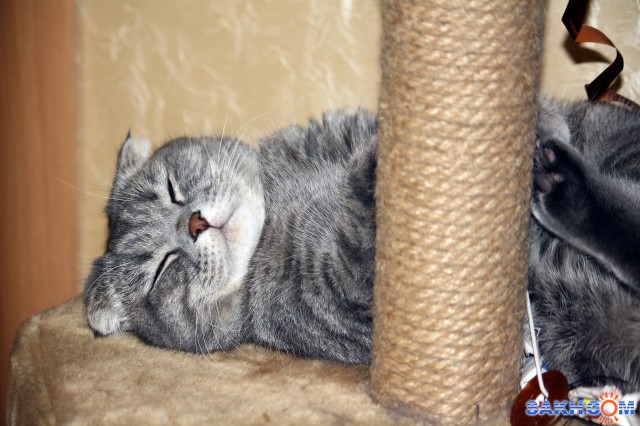 Фото Фрау_Энж