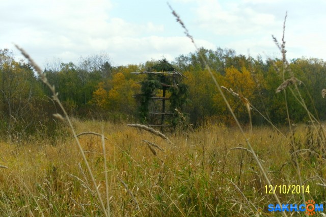 Фото Progress999