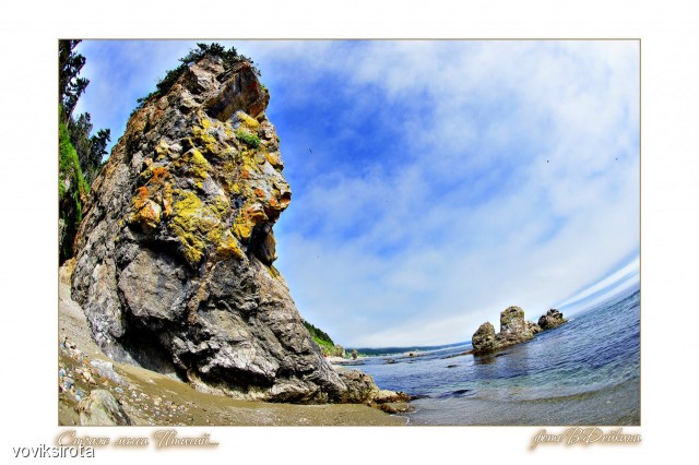 Фото voviksirota