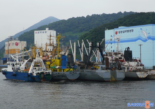 Фото 7388PetVladVik