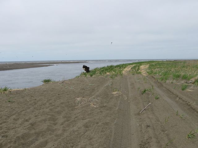 Фото serega09_08