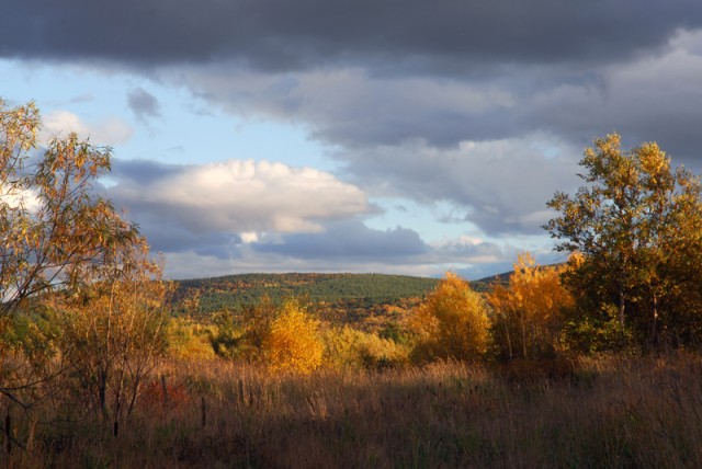 Фото Mikhaylovich