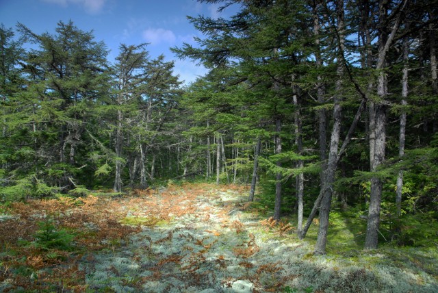 Фото Mikhaylovich