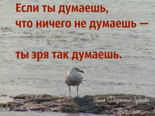 Фото Фидянина-Зубкова