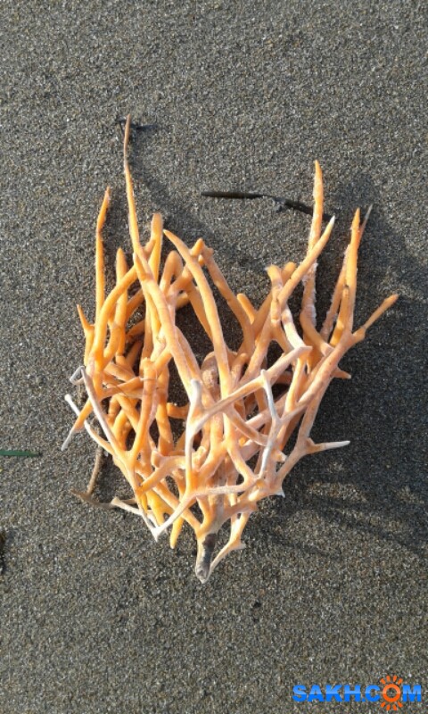 Фото Вячеслав