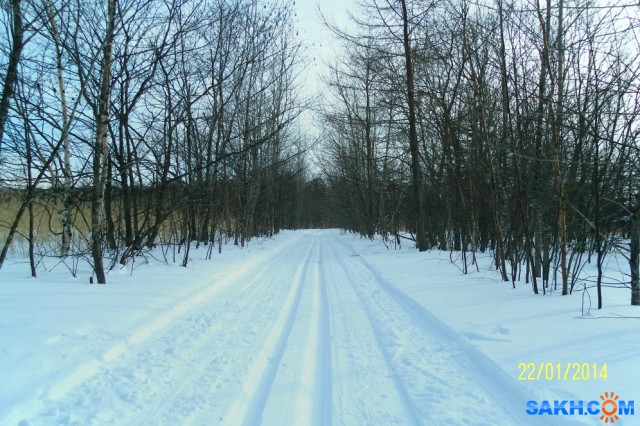 Фото Progress999