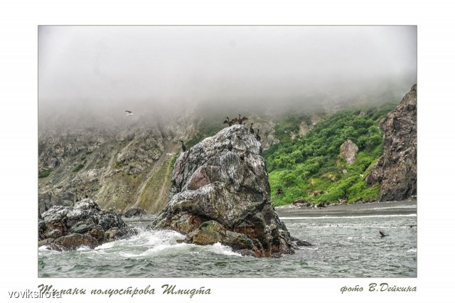 Фото voviksirota