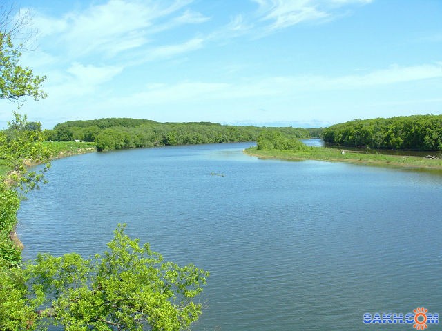 Фото красавка