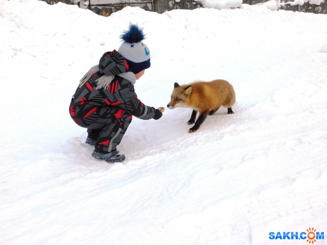 Фото Диспетчер