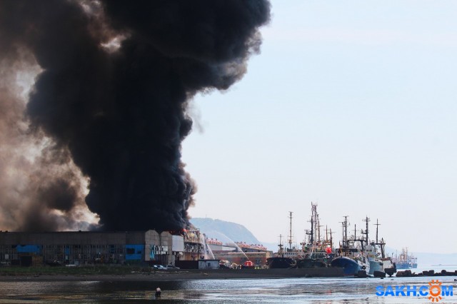Фото 7388PetVladVik