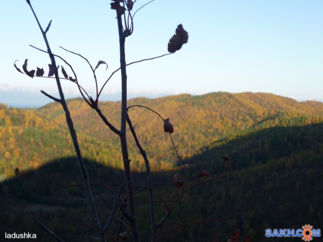 Фото ladushka