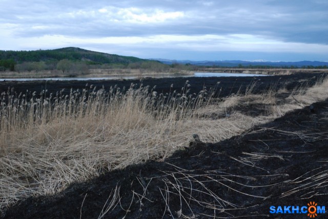 Фото Вячеслав