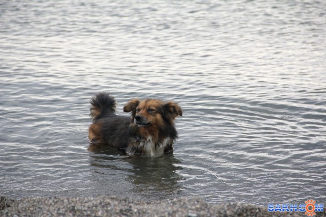 Фото ОСЯМВАЛГ