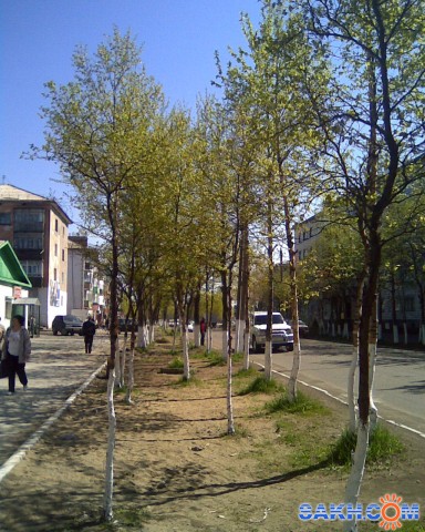 Фото ВОВ