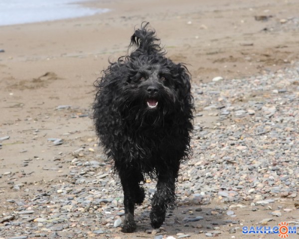 Фото Vitoldovich