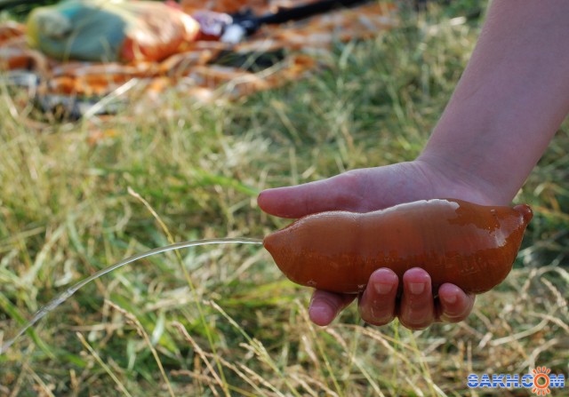 Фото Вячеслав