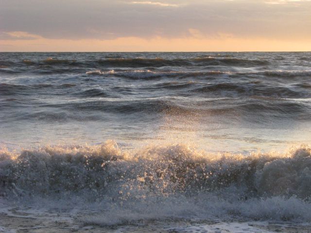 Фото Шуршик