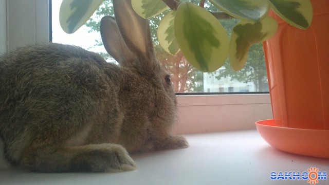 Фото Olchik_6935