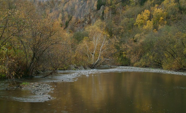 Фото Mikhaylovich