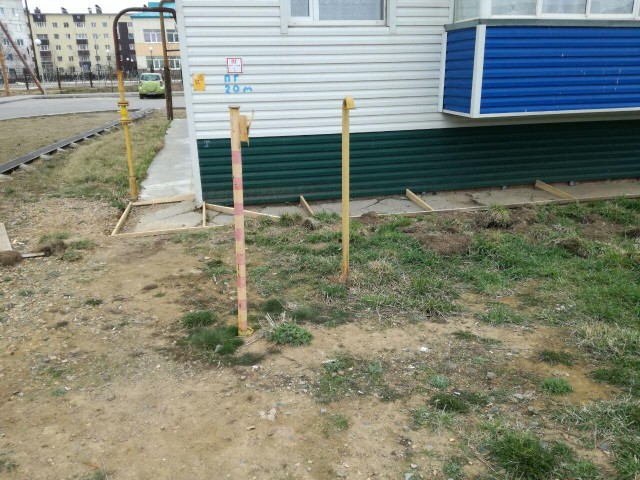 Фото Серый_Беркут