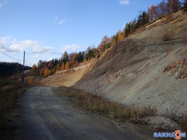 Фото санита