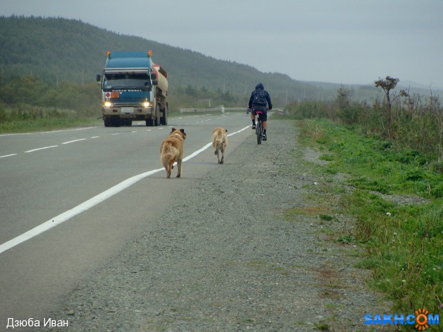 Фото бубас