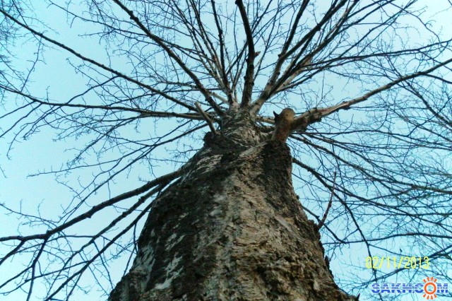 Фото Progress999