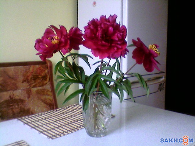 Фото Irina60Vas914