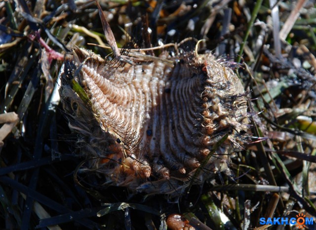 Фото Вячеслав