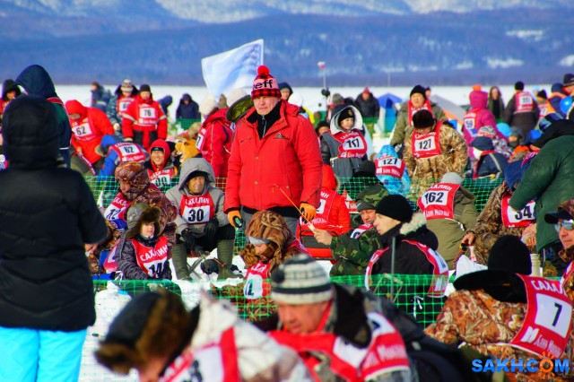 Фото voviksirota