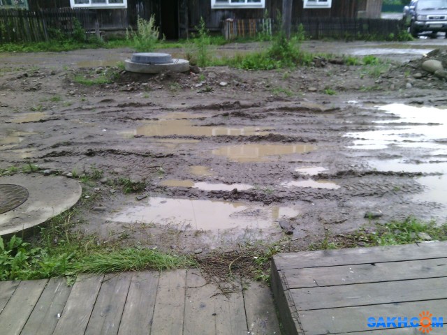 Фото паук-шнюк