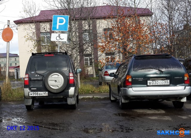 Фото дикаяроза