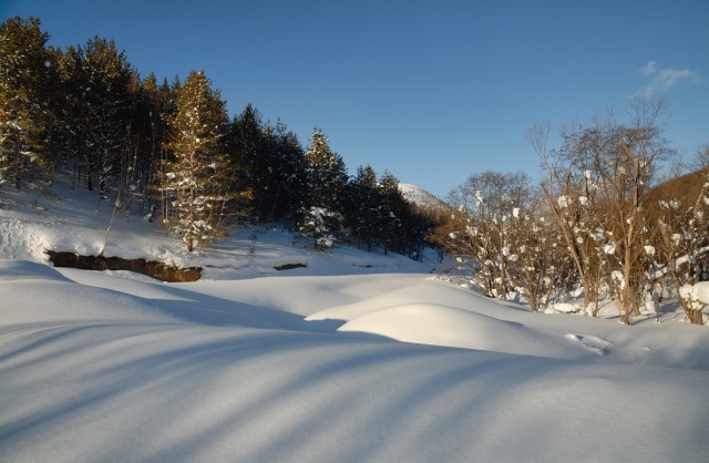 Фото Mikhaylovich