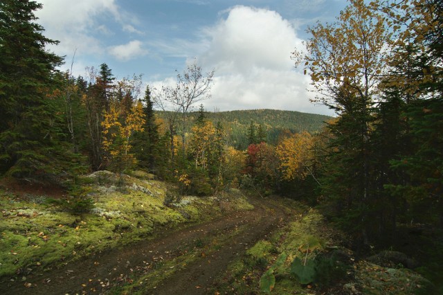 Фото Mikhaylovich