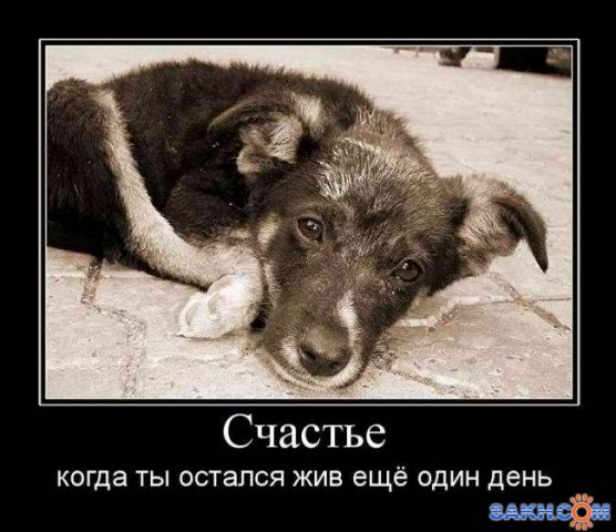 Фото Вольнодумец