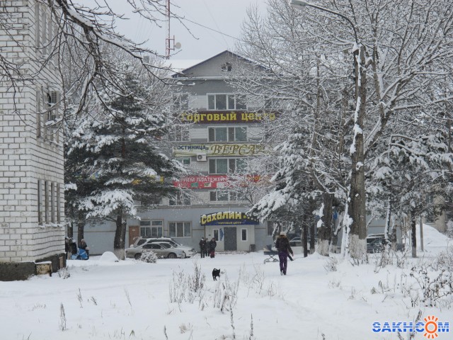 Фото Шуршик