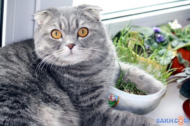 Фото Фрау_Энж