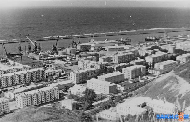 Фото 7388PetVladVik