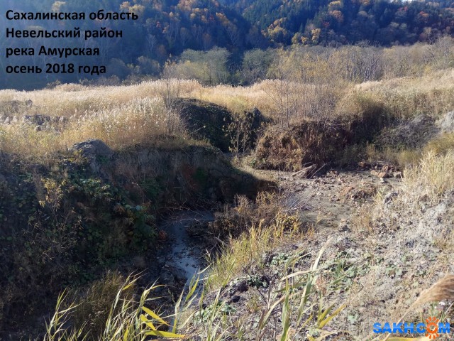 Фото kolya811