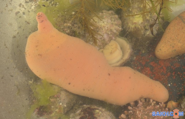 Фото Вячеслав