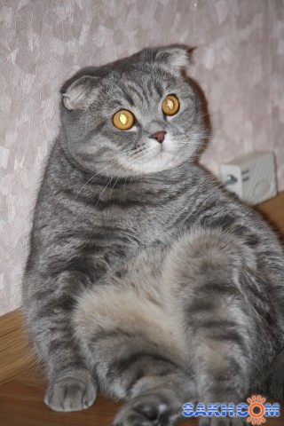 Фото Фрау_Энж