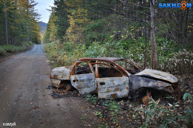 Фото камуй