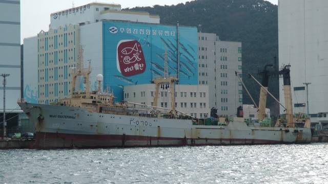 Фото SCRAMBLER75