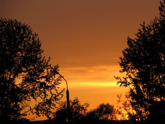 Фото Шуршик